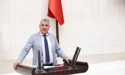 CHP’li Ayhan Barut: Hayvancılıkta şap krizi büyüyor