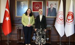 Bakan Göktaş, İrlanda'nın Ankara Büyükelçisi Brosnan'ı kabul etti
