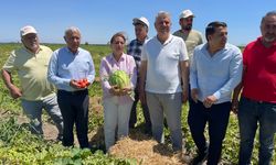 CHP'li Milletvekilleri ürünleri tarlada kalan çiftçilerle buluştu