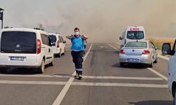 Edirne'de anız yangını; kara yolu kapatıldı