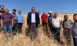Gürer: Tarımsal sulamada kullanılan elektrikten KDV alınmamalı