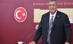 Gürer: Zirai don deprem şiddetinde yaşandı