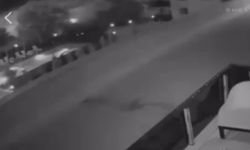 Havai fişek atıp yangın çıkaran 2 kişi, 100’er adet ağaç dikecek