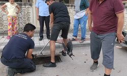 Rögarda mahsur kalan karga itfaiye ekiplerince kurtarıldı
