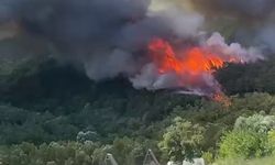 Sakarya Geyve’de yeni orman yangını