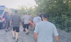 Şarampole yuvarlanan patpattaki 2 kişi yaralandı