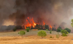 Safranbolu'da orman yangını