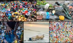 Sıfır Atık Vakfı, tek kullanımlık plastiklerin olumsuz etkilerini raporladı