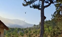 Üç ildeki orman yangınlarına müdahale ediliyor