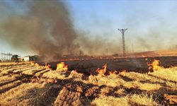 Şanlıurfa'da anız yakan 114 kişiye adli işlem uygulandı