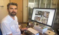 Orta Toroslar'da faylanmanın dağların yükselişiyle eş zamanlı olduğu belirlendi