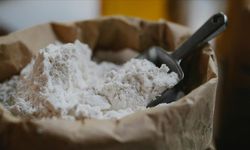 Un ihracatında bu yıl 3 milyon ton hedefleniyor