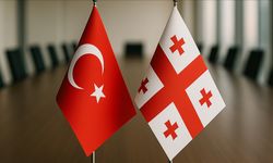 Türkiye-Gürcistan Serbest Ticaret Anlaşması'nın menşe kuralları revize edilecek