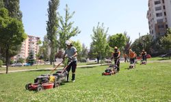 Çankaya'da parklarda bakım yapılıyor