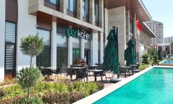 Ekonomik “Çankafe” sayısı artıyor