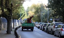 Çankaya’da ilaçlama çalışmaları sürüyor