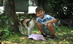 6 yaşındaki Dorukhan, her gün takipçisi kadar sokak hayvanı besliyor
