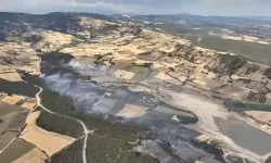 Bursa'da orman yangını kontrol altına alındı