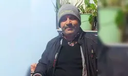 Domuz sürüsüne çarpan motosikletin sürücüsü öldü