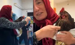 Boğazına iğne kaçan tavuğu için hastanede röntgen talebinde bulundu