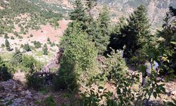Adana’da otomobil uçuruma yuvarlandı: 2 ölü