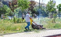 Altındağ'da parklar temizlendi
