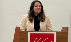 Çağlar: Kadına şiddet mücadelesinde partiler üstü dayanışma şart