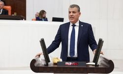 CHP’li Barut’tan çağrı “Orman köylülerine destek verin”