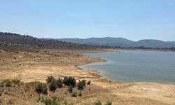 Bodrum'u besleyen barajların su seviyesi düştü