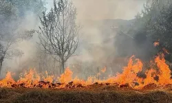 Bolu'da bidonla akaryakıt satışı yasaklandı