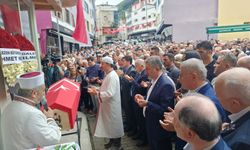 Eski bakan Demir, toprağa verildi