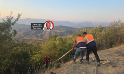 Orman yangınlarında madenciler de görev aldı