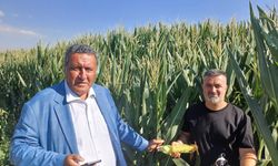 Gürer: Tarımsal atıklar yakıta dönüştürülmelidir