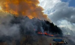 Bolu'da orman yangını: Karayolu ulaşıma kapatıldı
