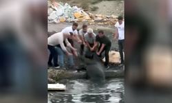 Avcılar'da otluk alanda yangın çıktı; ineklerini kurtarmak için gölete soktu