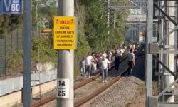 Marmaray hattına ağaç devrildi, yolcular demir yolunda yürüdü