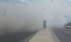 Silivri'de ağaçlık alan alev alev yandı; TEM bağlantı yolu trafiğe kapandı