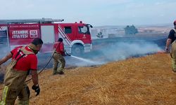 Silivri'de otluk alandaki yangın itfaiyenin müdahalesi ile söndürüldü