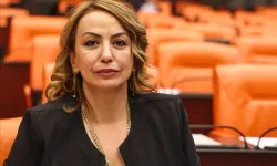 CHP’li Kara: “Yangınlarda hangardan 8 amfibik yangın uçağı çıkarıladı”