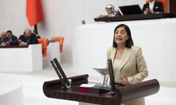 "Hayvanların yaşam hakkına fiyat biçmesi kabul edilemez"