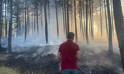 Kastamonu'da çıkan orman yangını kısa sürede söndürüldü