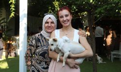 Köpeğini gezdirirken Kangalların saldırısına uğradı