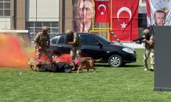 Nevşehir’de 30 Ağustos Zafer Bayramı kutlamaları; JAKEM'in eğitimli köpeklerinin gösterisi ilgi topladı