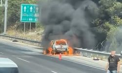 Otoyoldaki otomobilde çıkan yangın, ormana sıçradı