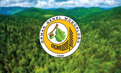 Ormanlarda riskli haftaya girerken denetimler sıklaştırıldı