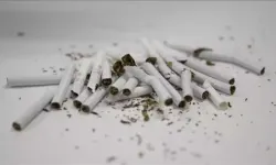 'Pasif sigara dumanı, meme kanseri riskini de artırıyor'