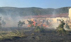 Rüzgarın etkisiyle kopan elektrik telleri yangına neden oldu