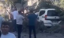 Rüzgar nedeniyle devrilen ağaç, hafif ticari aracın üzerine düştü