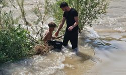 Siirt'te çaya giren 3 çocuktan 2'si kurtarıldı, 1'i kayıp