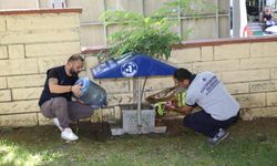 Küçükçekmece Belediyesinden sokak hayvanlarına can suyu çağrısı